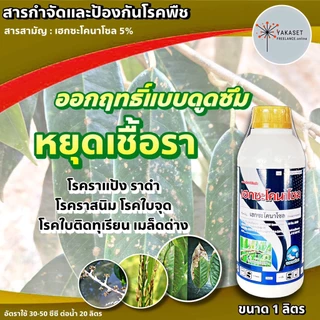 เฮกซะโคนาโซล ฉลาม ขนาด 1 ลิตร เฮกแตร์ แบ็ทเทอร์ มาร์ติน 💥 เฮกซะโคนาโซล โรคใบไหม้ โรคกาบใบแห้ง โรคเมล็ดด่าง