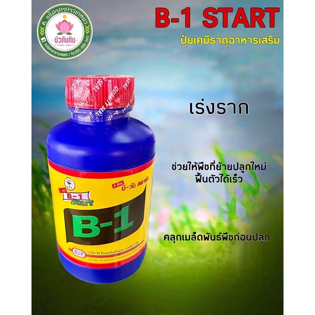 น้ำยาเร่งราก B-1 Start