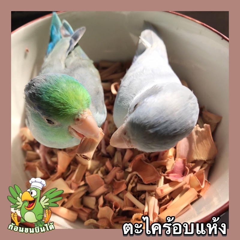 ตะไคร้อบแห้งสำหรับสัตว์เลี้ยง
