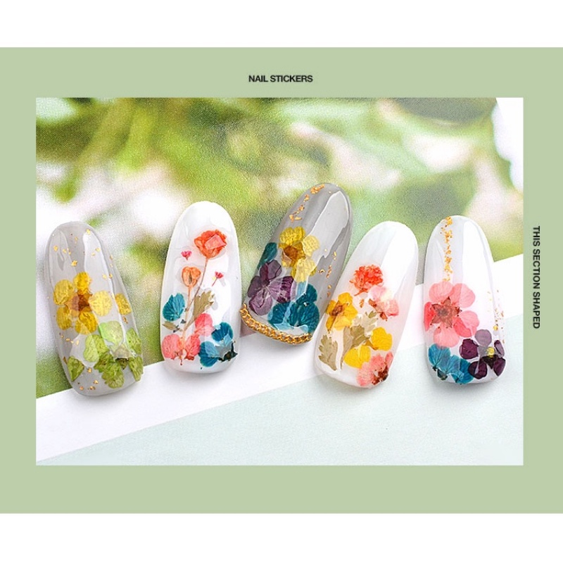 Misscheering Box 24 ดอกไม ้ แห ้ ง 12 สี ตกแต ่ งเล ็ บใหม ่ - รูปที่ 7