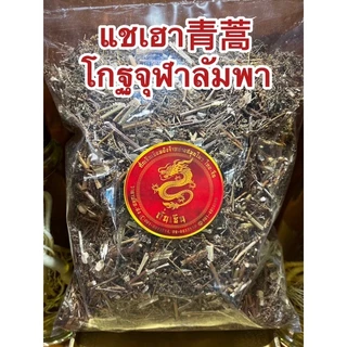 แชเฮา青蒿 โกฐจุฬาลัมพา ชิงเฮา แชเฮา สมุนไพรโกฏจุฬารำพา โกฐจุฬารำพา