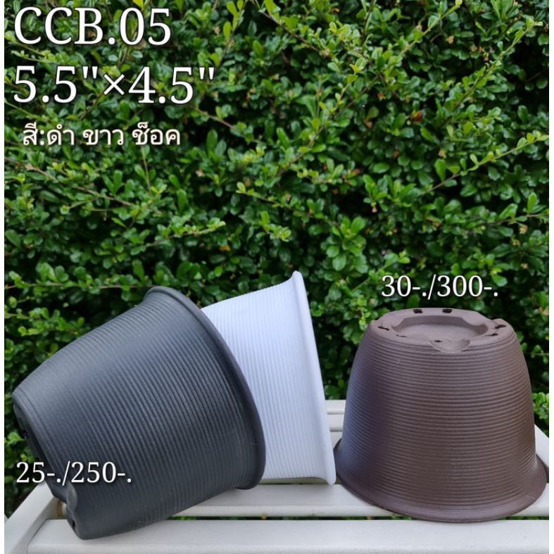 (CCB.05)กระถางทรงญี่ปุ่นเนื้อหนา‼️ลายเส้น ทนทาน แข็งแรง5.5"×4.5"