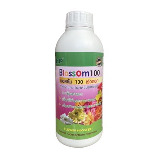 บอสซั่ม100 สาหร่ายทะเลสกัดเข้มข้น กระตุ้นดอก กระตุ้นการแตกตาดอก ดอกดก Blossom ขนาด 1ลิตร ปุ๋ยอินทรีย์nporganicgarden