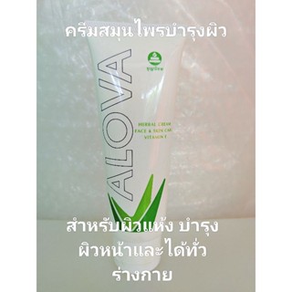 ครีมสมุนไพรบำรุงผิว(บ้านราช)อโลว่า ALOVA 100กรัม