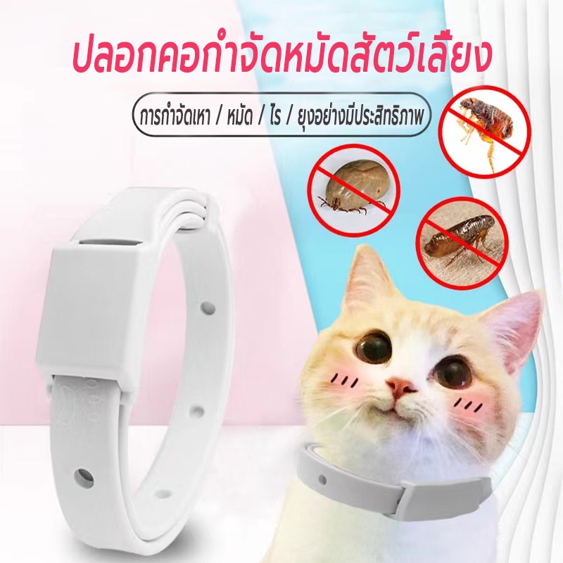 ปลอกคอกันเห็บหมัด ปลอกคอกำจัดเห็บ ใช้ได้นาน8เดือน ปลอกคอแมว