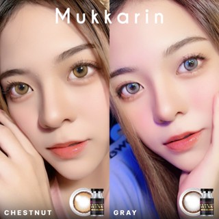 ร้านเลนส์สวยคอนแทค Wink Wow รุ่น Muk karin/สีChestnutน้ำตาล / สีGrayมีค่าสายตาและสายตาปกตแฟชั่น มีอย.นำเข้าจากเกาหลี