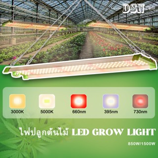 เต็มสเปกตรัม LED Grow Light แสงแดดเต็มวง ช่วยให้พืชโตไว แสงสีขาว แสงธรรมชาติ แสงสีชมพู เหมาะสำหรับโรงเต๊นท์เรือนกระจก