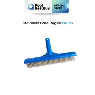 แปรงขัดสระสแตนเลส 10 นิ้ว (Stainless Steel Algae Brush)