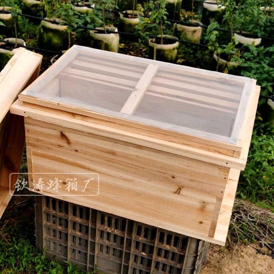 Seven-Frame Hive Standard Apis Cerana Bee Hive Hive ทั้ง Fir Hive แห้ง Fir Hive/โฟม Bee Mating Box /
