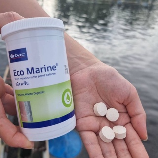 จุลินทรีย์แบบเม็ด ย่อยของเสีย ลดเชื้อแบคทีเรียในน้ำ แบ่งขายชุดละ 10 เม็ด (ECO MARINE) ใช้กับบ่อปลา/กุ้ง/สัตว์น้ำทุกชนิด