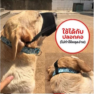 New!! ใช้ดี ตะกร้อครอบหมา ที่ครอบปากสุนัข ตระกร้อปากหมา น้องหมาดื่มน้ำได้ ป้องกันการกัด เห่า สำหรับสุนัขพันธุ์เล็ก-ใหญ่