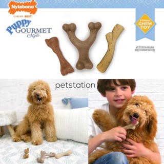 Nylabone Gourmet Bundle เซ็ท 3 ชิ้น ของเล่นขัดฟันสัตว์เลี้ยง