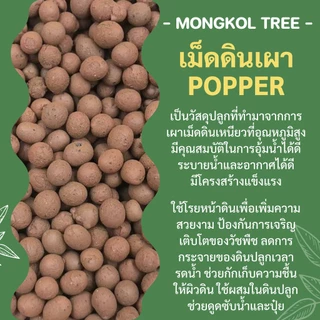 เม็ดดินเผามวลเบา Popper 🌰 1 ลิตร S M L XL XXL เม็ดปอปเปอร์ Mongkol Tree Family วัสดุปลูก ใช้โรยหน้ากระถาง ผสมดินปลูก