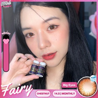 ร้านเลนส์สวยคอนแทค Wink Wow รุ่น Fairy /สี Gray เทา นำเข้าจากเกาหลี มี อย.ไม่มีค่าสายตา(แฟชั่นสุดHit ขายดี)