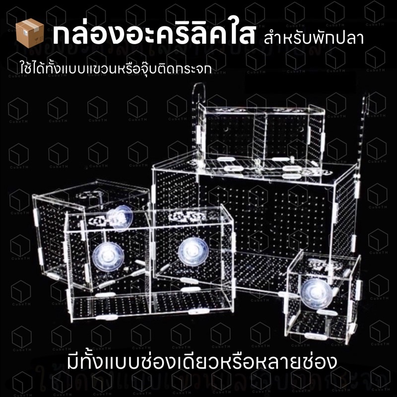 กล่องอะคริลิคใส สำหรับแยกปลา หรือกุ้ง มีหลายขนาด กั้นช่องสามารถถอดได้ แขวนหรือจุ๊บติดกระจกได้