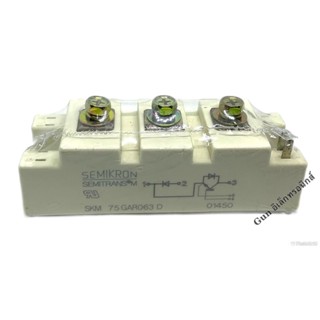 SKM 75 GAR063 D โมดูล IGBT module N-CH 600V 75A SEMIKRON