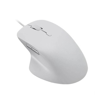 Mouse (เม้าส์) Rapoo N500-BK Wired Optical (Black)