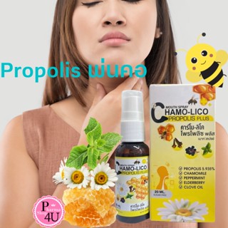 Chamo-Lico Mouth Spray Propolis Plus 20 ml คาร์โม-ลิโค เจ็บคอ แก้ไอระคายคอ คออักเสบ ชุ่มคอ ลมหายใจสดชื่น ของแท้100%