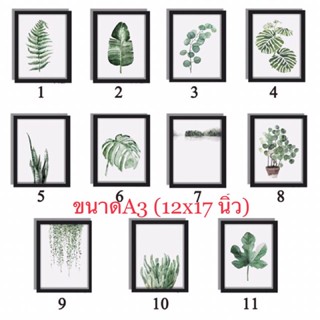 🌿รูปใบไม้  และรูปแมว☘️พร้อมกรอบ ขนาด A3 (12 x17 นิ้ว) พร้อมขาตั้ง