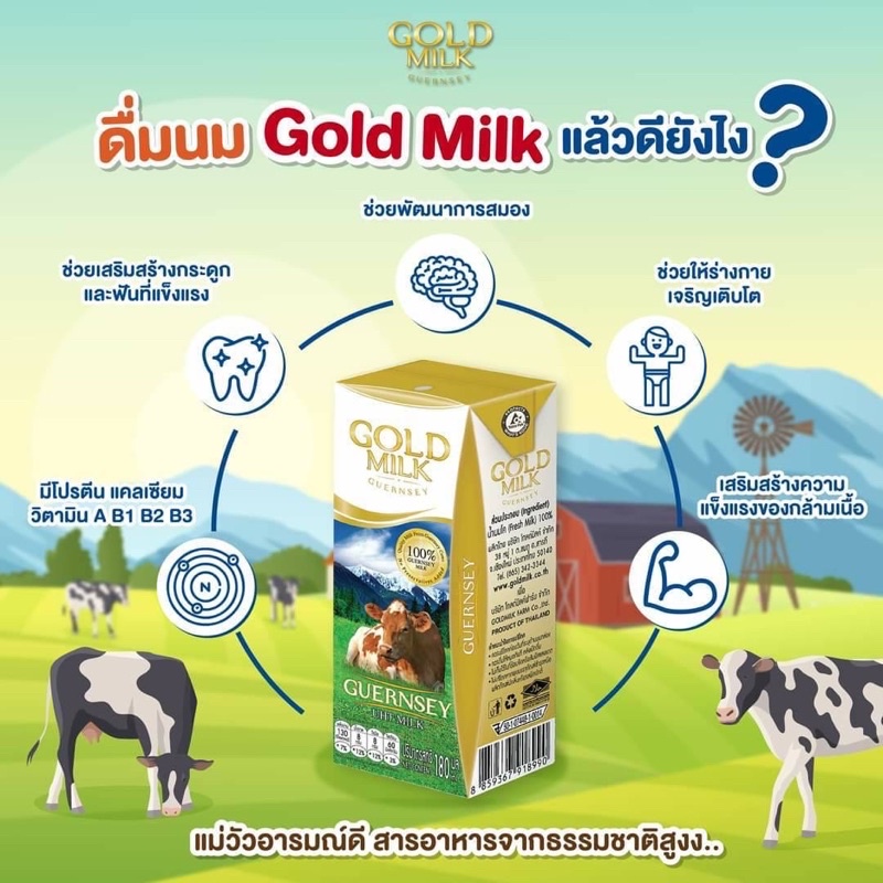 💥ส่งฟรี ยกลัง 40 กล่อง 💥 Gold Milk น้ำนมโคแท้ 100%  ผู้แพ้นมวัวดื่มได้ Guernsey UHT นมวัว นม