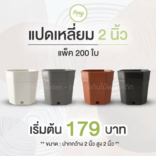 200 ใบ กระถางแคคตัส กระถางพลาสติก ทรงแปดเหลี่ยม 2 นิ้ว : มี 4 สี สีขาว สีดำ สีเทา สีอิฐ