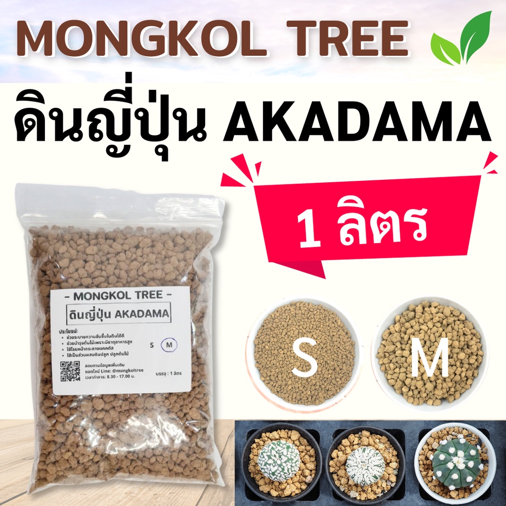 ถูกที่สุด!! ดินญี่ปุ่น Akadama ดินอาคาดามะ 1 ลิตร AKADAMA SOIL ขนาด S (2-4 มม.)/M (4-6 มม.) ใช้โรยหน