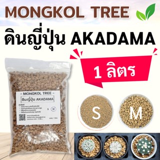 ถูกที่สุด!! ดินญี่ปุ่น Akadama ดินอาคาดามะ 1 ลิตร AKADAMA SOIL ขนาด S (2-4 มม.)/M (4-6 มม.) ใช้โรยหน้า กระบองเพชร ไม้อวบ