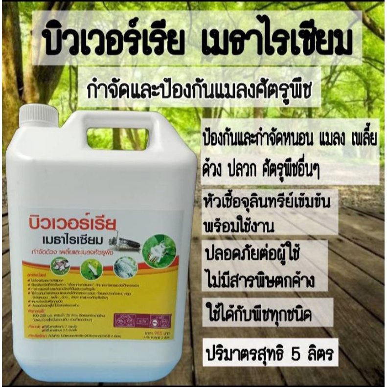 บิวเวอร์เรีย เมธาไรเซียม ชนิดน้ำ เข้มข้น หัวเชื้อจุลินทรีย์ ป้องกันและกำจัดแมลงศัตรูพืช ด้วง เพลี้ย แมลง ปลวก หนอน