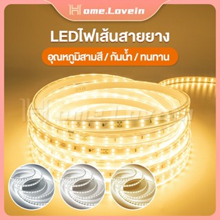 HL.ไฟเส้น led สองแถว ไฟประดับตกแต่ง ไฟเส้น ไฟเส้นled 220v กันน้ำ ไฟสายยาง led แสงวอร์มไวท์/แสงขาว/แสงเป็นกลาง พร้อมปลั๊ก