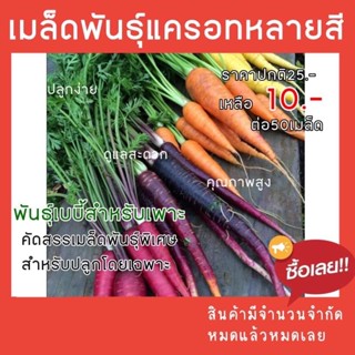 เมล็ดพันธ์ุแครอทหลากสี