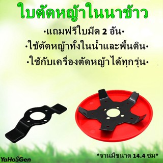 จานเอ็นตัดหญ้า ใบตัดหญ้าในนาข้าว ใบมีดตัดหญ้าดายหญ้า ใบตัดหญ้าร่องนา แถมฟรีใบมีด 2 อัน ใช้กับเครื่องตัดหญ้าได้ทุกรุ่น