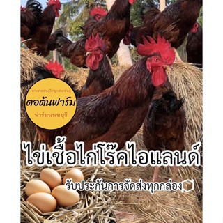 🥚ไข่เชื้อไก่โร๊คไอแลนด์🐓ไข่เก็บสดใหม่✅รับประกันการจัดส่งสินค้า