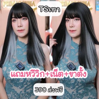 รหัส TS : วิกผมตรงมีไฮไลค์ด้านใน (แถมเน็ต+ขาตั้ง+หวีวิก)