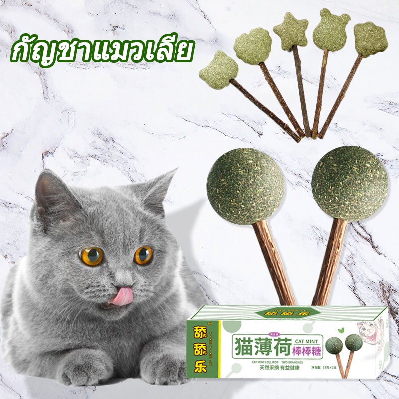 พร้อมส่ง😻แคทนิปบอล ขนมแมวเลีย 2in1 Lollipop catnip กัญชาแมวเลีย ของเล่นแมว