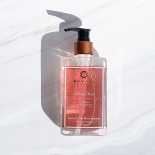 Intensive care Daily Shampoo 250 ML ; Satin Rose (กุหลาบอังกฤษ )690฿