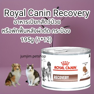 Royal​ Recovery (ขายยกลัง12กระป๋อง)Exp.11/2024 เหมาะสำหรับสุนัขหลังผ่าตัด เพิ่มพลังงานและโปรตีนสูง​