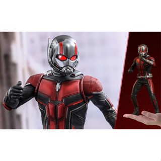 HOT TOYS ANT-MAN ANTMAN AND THE WASP MMS497 โมเดลแอนท์แมน ภาคสองของเรื่อง ของใหม่ของแท้