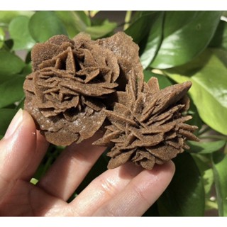 1 Pc Genuine Desert ROSE 4-5 cm Stone Rough Stone / Top High Quality Rough Stone / Raw Stone For Healing Chakra