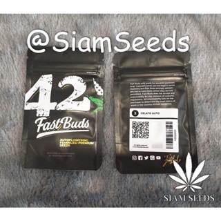 เมล็ดกัญชา Fastbuds Gelato Auto Cannabis Seeds (Pack of 3)