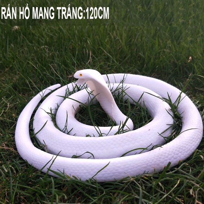 TIGER WEARING 120CM Albino ยางสีขาว FAKE SNAKE LIKE THE REAL หนึ่งม้วนเพื่อนหญิง