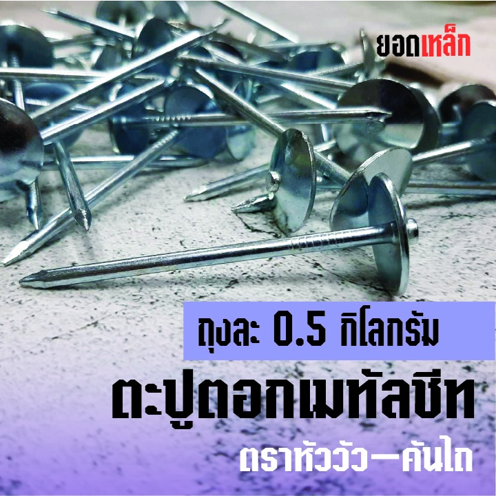 ตะปูตอกเมทัลชีท หนัก 0.5 กิโลกรัม ขนาด 2 1/2 x11 (65x3.05 มม.)