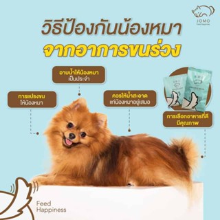 (ฟรีของแถมพรีเมี่ยม)10 กก.อาหารสุนัข พรีเมียม แพ้ไก่ทานได้ โจโม่ สูตรเนื้อแกะออสเตรเลีย ขนาด  JOMO 10 KG อาหารสุนัขรสแกะ