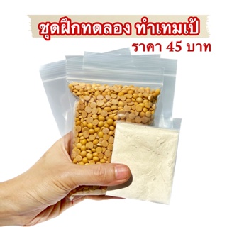 ชุดทดลองทำ เทมเป้ tempeh หัวเชื้อเทมเป้ ถั่วเหลือง ถุงทำเทมเป้ ขนาดทดลอง