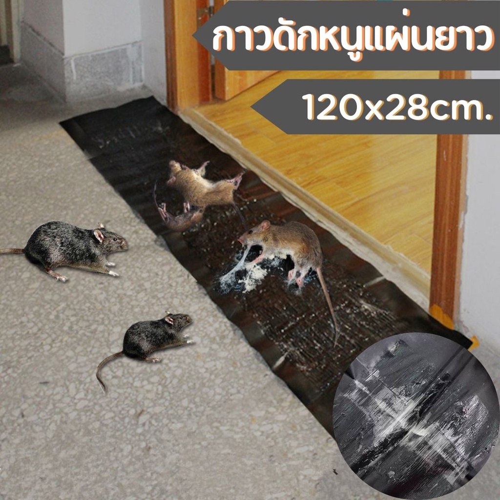 แผ่นกาวดักหนู ขนาด 120CM x 28CM กาว ดักหนูแผ่นใหญ่ ดักหนู หนู กาวดี คุ้มมาก พร้อมส่ง #C-0009