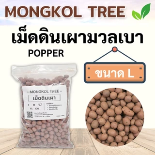 เม็ดดินเผามวลเบา Popper 🌰 1 ลิตร S M L XL XXL เม็ดปอปเปอร์ Mongkol Tree Family วัสดุปลูก ใช้โรยหน้ากระถาง ผสมดินปลูก