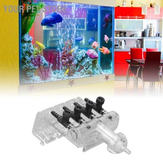 Your Pet Store Aquarium Air Check Flow Control Switch 4 Way Clear Plastic Fish Tank Pump Gang Valve