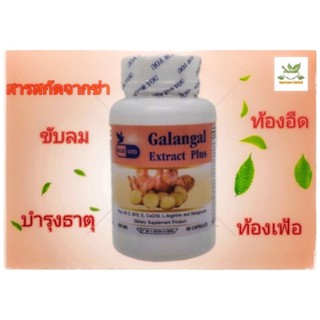 สารสกัดจากข่า 600มิลลิกรัม 60แคปซูล ตรา บลูเบิร์ด