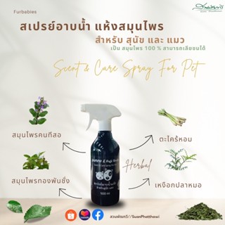 สเปรย์อาบน้ำแห้ง สำหรับสุนัขและแมว สมุนไพรสมุนไพรสวนพัฒทวี 500ml. 1 ขวด (สูตรไม่ต้องล้างน้ำออก)