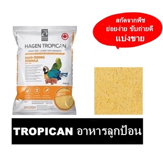 Tropican อาหารลูกป้อน สำหรับนกทุกสายพันธุ์ แบ่งขาย 1 กิโลกรัม