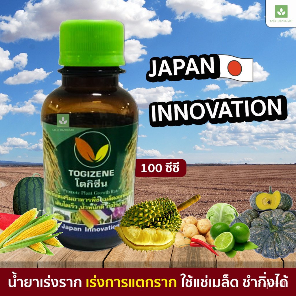 100 cc root accelerator accelerates root cracking, soaking the cuttings of the cuttings. 2C2Y